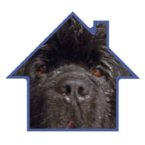 Business logo for canine lodge Wirral, depicting the cute face of a black dog within the yellow outlines of a typical home