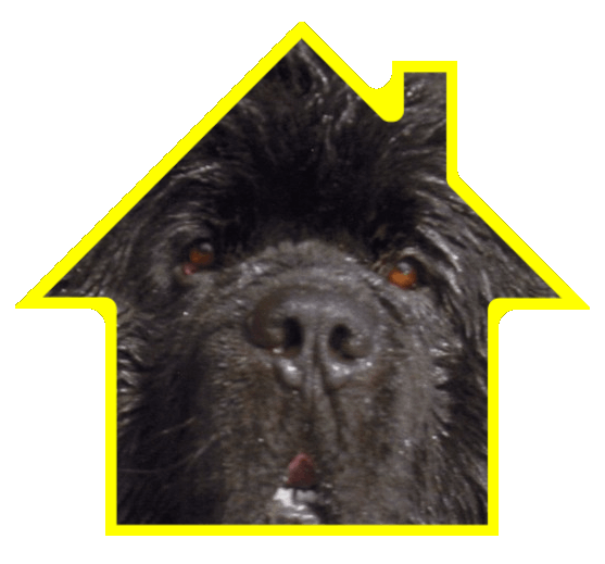 Business logo for canine lodge Wirral, depicting the cute face of a black dog within the yellow outlines of a typical home